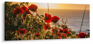 Naplemente és a pipacsok képe (120x50 cm)