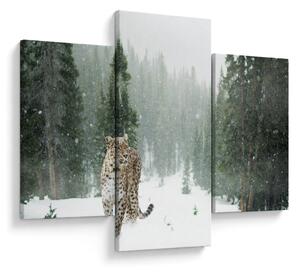 Leopárd a hóban képe (90x60 cm)