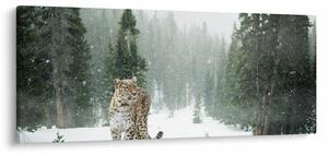 Leopárd a hóban képe (120x50 cm)