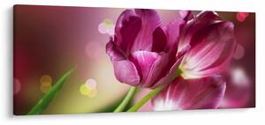 Rózsaszín tulipánok képe (120x50 cm)
