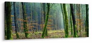 Az erdő képe (120x50 cm)