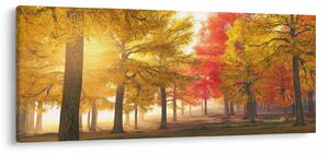 Őszi fák képe (120x50 cm)
