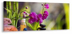 Kép - spa and stones (120x50 cm)