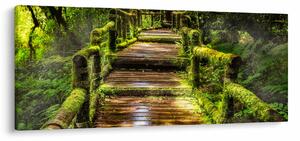 Lépcső az esőerdőben képe (120x50 cm)