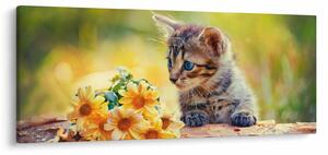 Macska képe ahogy a virágot nézi (120x50 cm)