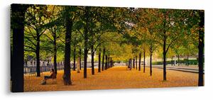 Egy kép az őszi fák sikátorából (120x50 cm)