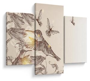 Kép - Kolibri (90x60 cm)