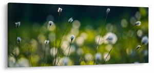 Kép - Fű (120x50 cm)