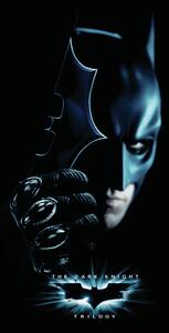 Művészi plakát The Dark Knight Trilogy - Batman, (26.7 x 40 cm)
