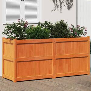VidaXL viaszbarna tömör fenyőfa kerti virágláda 150 x 50 x 70 cm