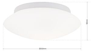 ALBA modern mennyezeti lámpa, 25cm