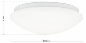NEDO modern LED mennyezeti lámpa, 23cm