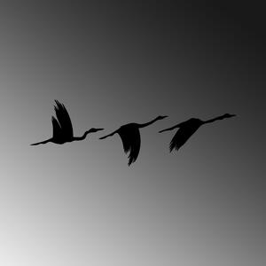 Migrant Birds - 291 Fali fém dekoráció Fekete