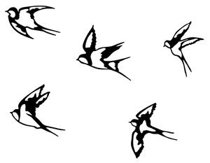 Swallows - 303 Fali fém dekoráció Fekete