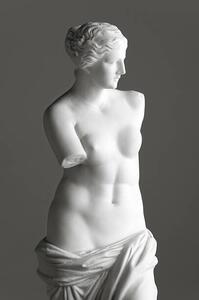 Művészeti fotózás Venus de Milo on grey, 221A, (26.7 x 40 cm)