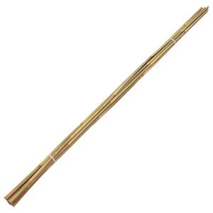 VidaXL 50 db kerti bambuszkaró 150 cm