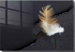 Üveg kép 70x50 cm Feather – Wallity