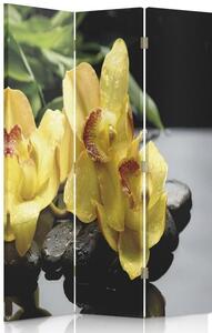 Gario Paraván A sárga orchidea varázsa Méret: 110 x 170 cm, Kivitelezés: Klasszikus paraván