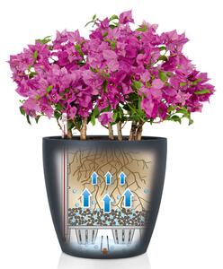 LECHUZA Classico Color 35 ALL-IN-ONE palaszínű virágtartó
