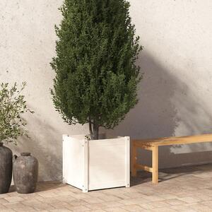 VidaXL fehér tömör fenyőfa kerti virágláda 50x50x50 cm