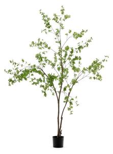Műnövény (magasság 214 cm) Enkianthus – Kave Home