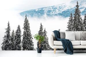 Öntapadó fotótapéta havas fenyőfák