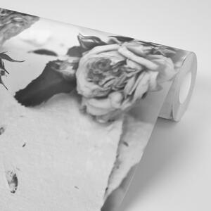 Öntapadó fotótapéta fekete fehér virágzó rózsa