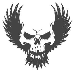 Illusztráció Black skull illustration with wings, d1sk