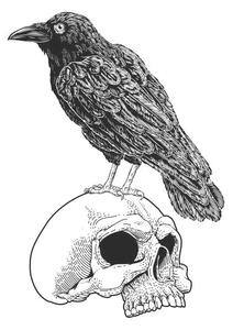 Illusztráció Crow Raven Corvus Bird and Skull Vintage Woodcut, ChrisGorgio