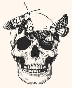Illusztráció Hand drawn human skull head butterfly, Julia Solodukhina