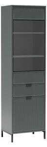 Aldabra Linkastyles LS-5 vitrin, kőzöld