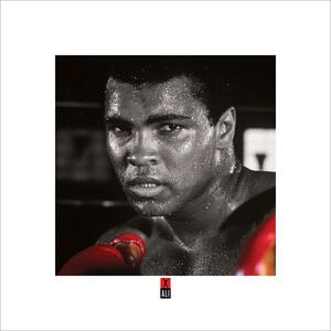 Muhammad Ali Boxing S. Festmény reprodukció, (40 x 40 cm)