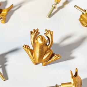 Frog aranyszínű ón fiók fogantyú - Sass & Belle