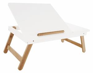 TEM-Melten laptop asztal