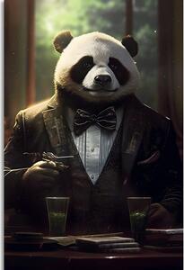 Kép állat gengszter panda