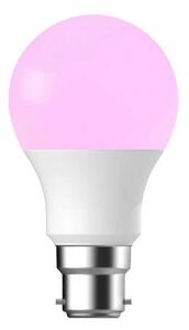 Nordlux - Izzó Smart Colour 8W (806lm) 2200-6500K Dim. White B22 - Lampemesteren