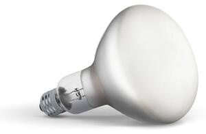 Flos - Izzó LED 13W (1300lm) 2700K Dimmable E27 - Lampemesteren