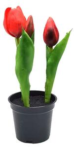 Cserepes mű tulipán - Piros