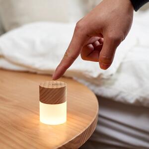 Lemelie hordozható kőrisfa asztali lámpa - Gingko