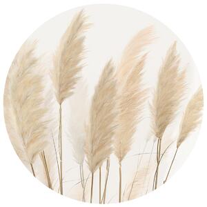 Kör alakú fotótapéta Pampas 125 x 125 cm, 2részből álló