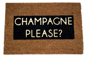 Champagne Glitter természetes kókuszrost lábtörlő, 40 x 60 cm - Artsy Doormats