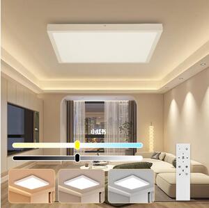 Brilagi Brilagi-LED Dimmelhető fürdőszobai lámpa FRAME SMART LED/50W/230V IP44 fehér + távirányító BG0700