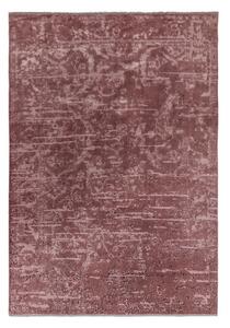 Abstract lila szőnyeg, 160 x 230 cm - Asiatic Carpets
