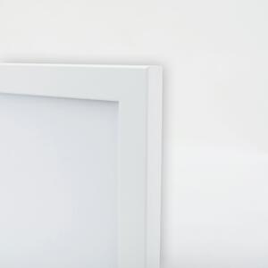 Gario Poszter Madarak ágakon A keret színe: Fehér, Méret: 20 x 30 cm