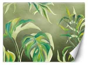 Gario Fotótapéta Monstera levelek zöld alapon Anyag: Vlies, Méret: 200 x 140 cm