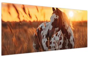 Kép - Ló naplementében (120x50 cm)