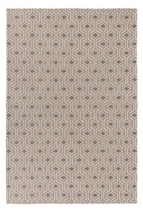 Bombax bézs-szürke pamut szőnyeg, 114 x 170 cm - Flair Rugs