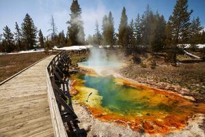 Nem szőtt fotótapéta yellowstone park 375 x 250 cm