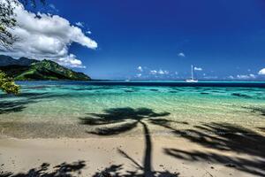 Nem szőtt fotótapéta moorea tengerpart 375 x 250 cm