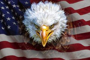 Nem szőtt fotótapéta amerikai zászló és a sas 375 x 250 cm